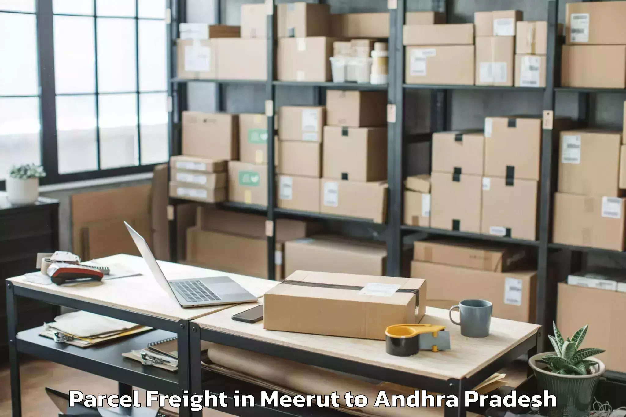 Professional Meerut to Mamidikuduru Parcel Freight